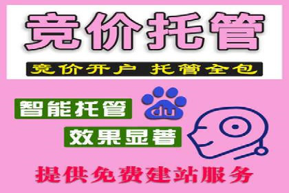百度竞价推广运营实战：某行业领先企业的经验分享